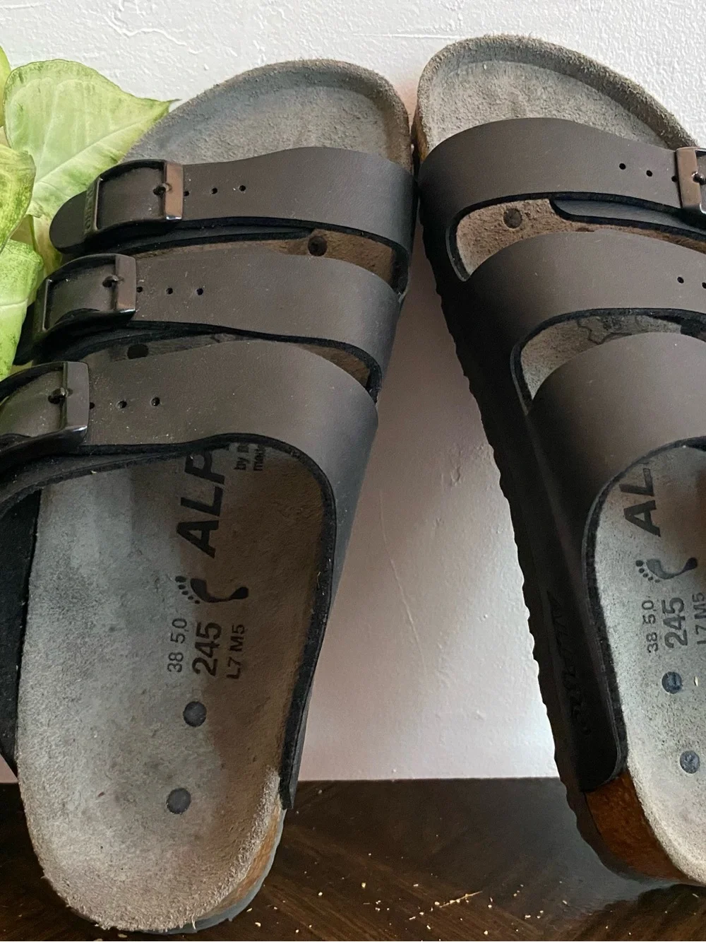 Alpro comfortable women’s